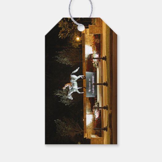 Native Dancer Horse Statue Saratoga Gift Label Cadeaulabel (Voorkant)