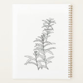 Native Florida Garden (Dos)