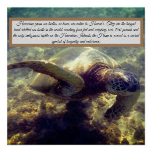 Native Hawaiian schildpad Perfect Poster