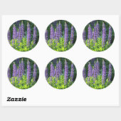 Native Minnesota Paarse Lupine Ronde Sticker (Vel)