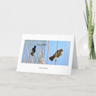 Native Nevadans. Vogels. Fotografie door J. Halko Kaart