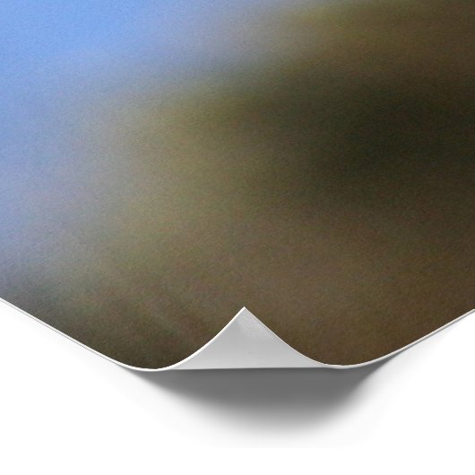 Native New Zealand Tui Poster (Hoek)