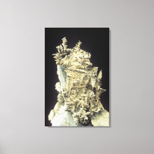 Native Silver (Ag) op kalksteen, Canada Canvas Afdruk