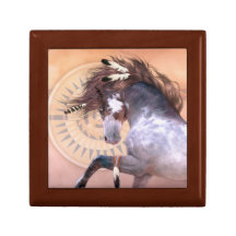 Native Spirit Keepskae/Gift Box