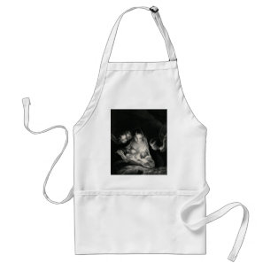 Nativiteit Baby Jezus Maagd Mary Angels Black Whit Standaard Schort