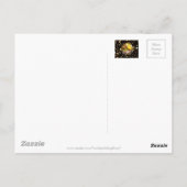 Nativiteitsscène Wieg Maagd Mary Baby Jesus Stars Briefkaart (Achterkant)