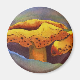 Natnature Odd Magnet Magneet