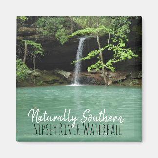 Natrually Southern Sipsey Waterfall Magneet