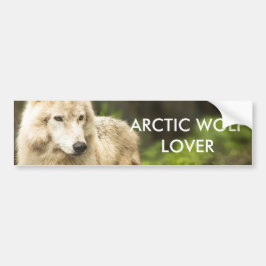 Natte Arctische Wolf in Spring Foto Bumpersticker