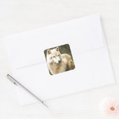 Natte Arctische Wolf in Spring Foto Vierkante Sticker (Envelop)