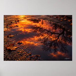 Natte Asfalt Zonsondergang Reflectie Fotografie Poster