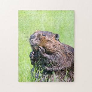 Natte bever legpuzzel