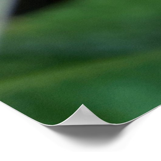 Natte blad poster (Hoek)