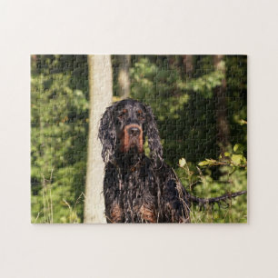 Natte Gordon Setter Puzzle Legpuzzel