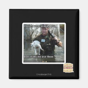 Natte kat en pistool magneet