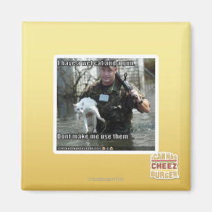 Natte kat en pistool magneet