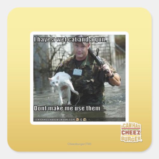 Natte kat en pistool vierkante sticker (Voorkant)