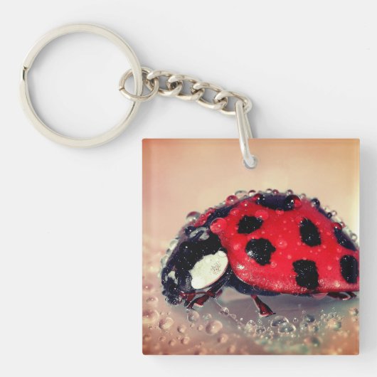 Natte ladybug sleutelhanger (voorkant)