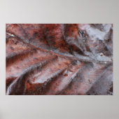 Natte leder poster (Voorkant)