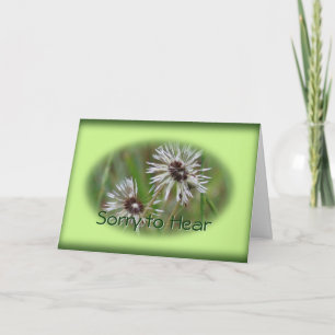 Natte Paardebloem Inspirerend kaart - of elke gele