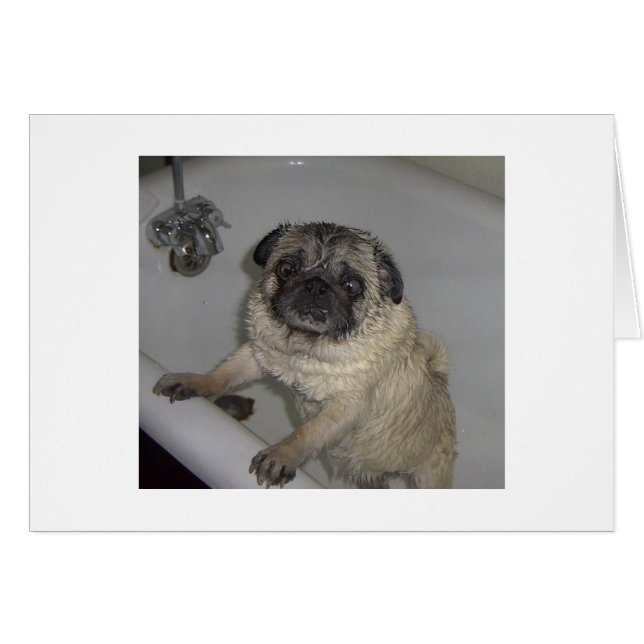 natte pot, blanco kaart (Voorkant Horizontaal)