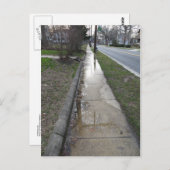 Natte stok briefkaart (Voorkant / Achterkant)