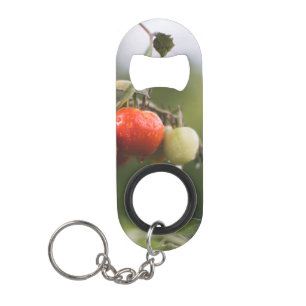 natte tomaten op wijnstokken mini flessenopener