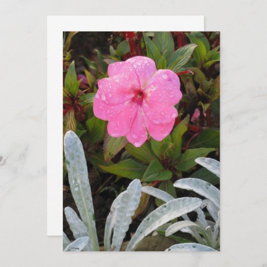 Natte ventilatoruitnodiging, aanpassen kaart (Voorkant / Achterkant)