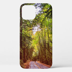 Natte weg door groene bomen in herfst Humboldt iPhone 12 Pro Hoesje