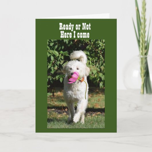 N'ATTENDEZ PAS DE CÉLÉBRER **NOTRE CARTE ANNIVERSA (Devant)