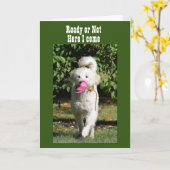 N'ATTENDEZ PAS DE CÉLÉBRER **NOTRE CARTE ANNIVERSA (Fleur jaune)