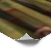 Natural Bamboo Zen Background Customized Template Poster (Hoek)
