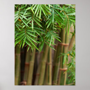 Natural Bamboo Zen Background Customized Template Poster
