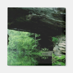 Natural Bridge, Pickett State Park, TN Magneet