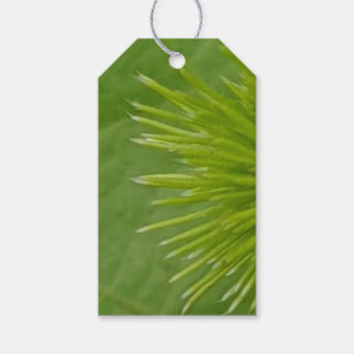 Natural Green Gift Label Cadeaulabel