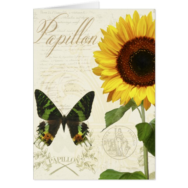 Natural History Sketchbook III (Voorkant)