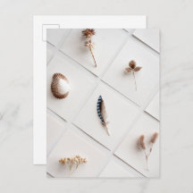 Natural Specimen Collection Minimalist