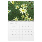 Natural Wonder 2010 Calendar Kalender (Feb 2026)