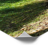 Natural Wonders Poster (Hoek)