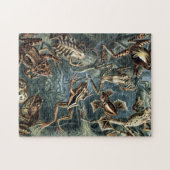 Naturalist Ernst Haeckel Kikkers en Toads P Legpuzzel (Horizontaal)