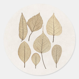 naturalistische botanische tekening Vertrek uit Ronde Sticker