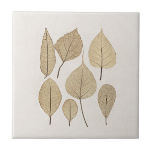  naturalistische botanische tekening   Vertrek uit Tegeltje