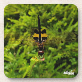 NaturCraze B&Y Dragonfly Hard plastiek onderzetter