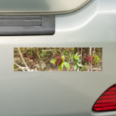 NaturCraze Red Dragonfly Bumpersticker (Op auto)