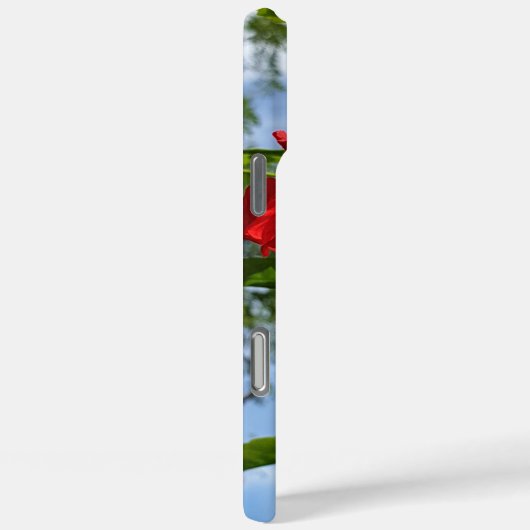 NaturCraze Rouge Hibiscus Fleur iPhone / coque ipa (Verso / Droite)