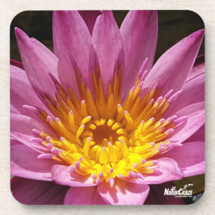 NaturCraze Roze Lotus Flower Hard kunststof onderz Bier Onderzetter