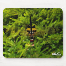 NaturCraze Zwart en Geel Dragonfly Mousepad