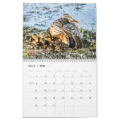 NATURE 12 - Mois 2022 Calendrier saisonnier (Mar 2026)