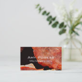 nature agate photo originale du carte de visite (Debout devant)