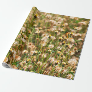 Nature background with grass flowerbackground, bea cadeaupapier